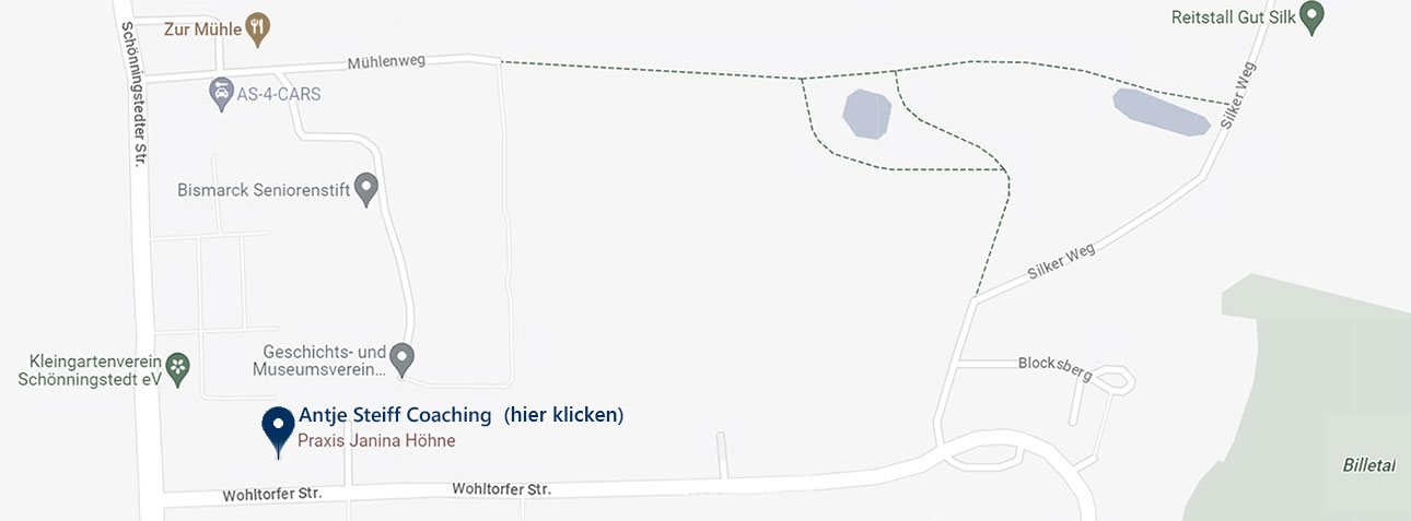 Antje Steiff Coaching Google Maps
